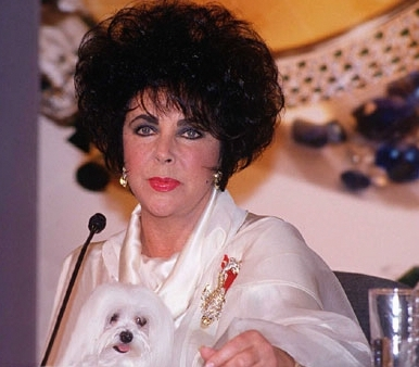 Liz Taylor greets the press and adoring fans following surgery to remove years of excess jewel build-up in her brain.